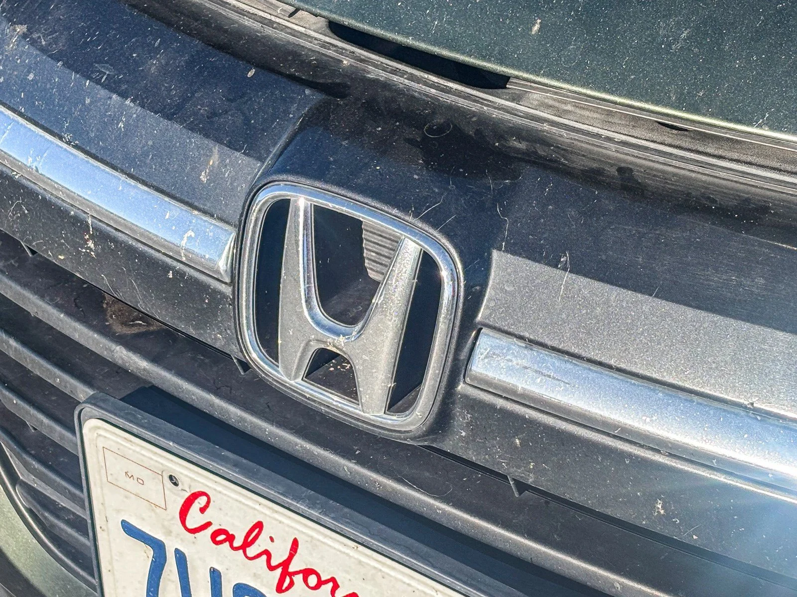 Used 2016 Misty Green Pearl Honda LX image 8