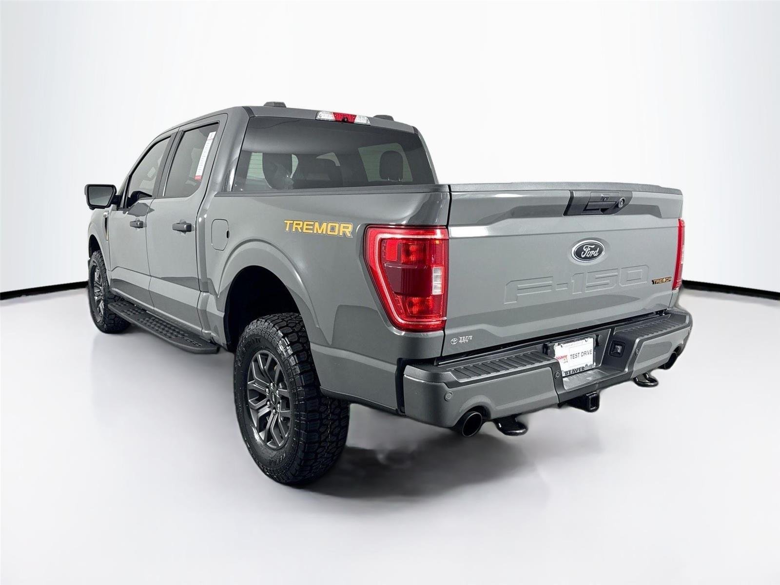 2021 Ford F-150 Tremor - Photo 8