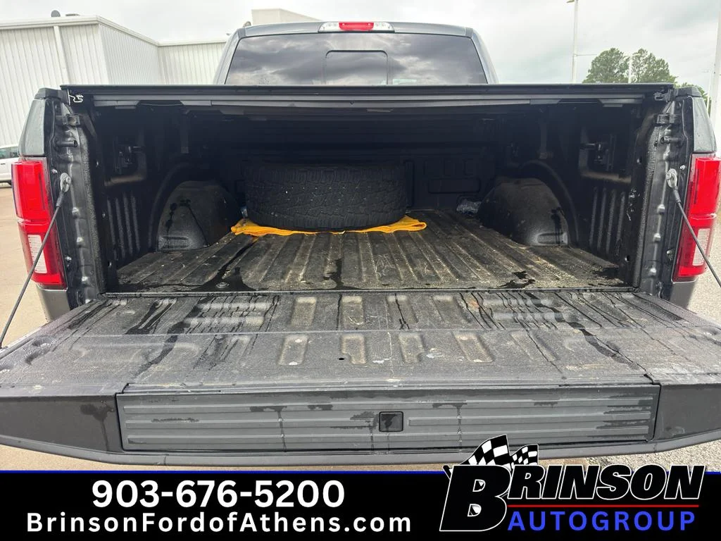 Used 2020 Magnetic Metallic Ford Platinum image 9