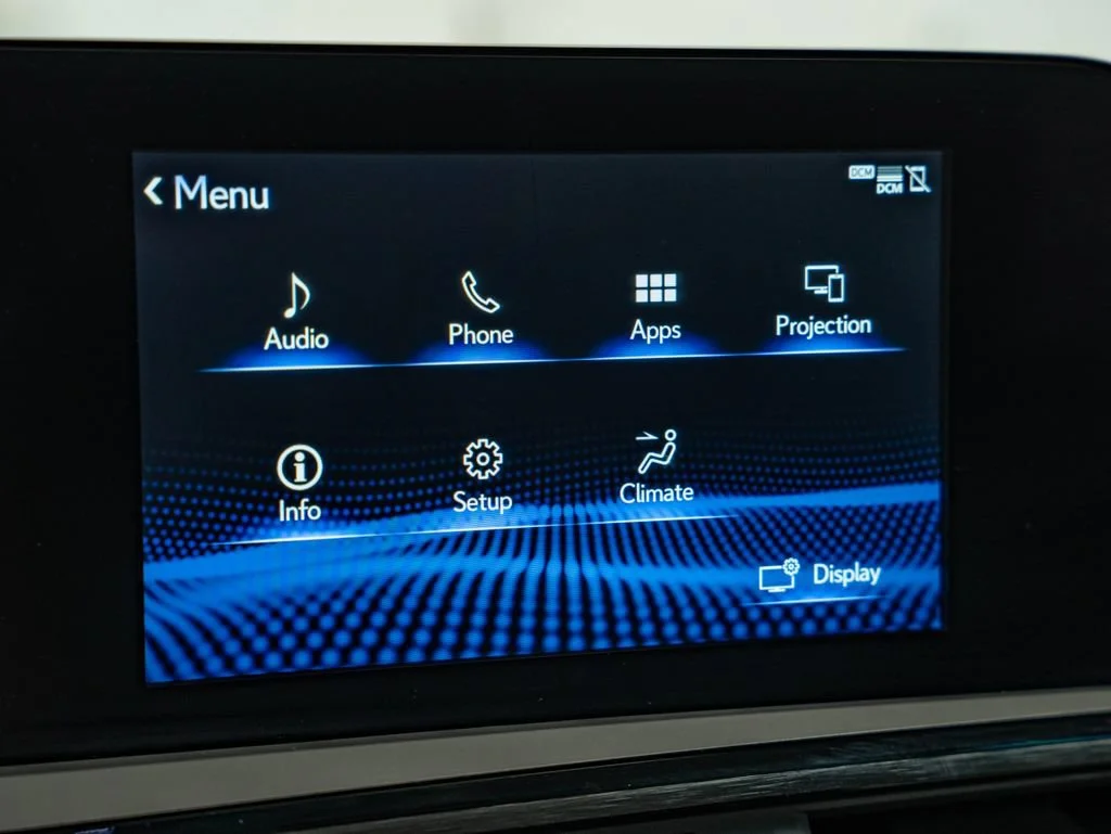 Used 2022 Graphite Black Lexus 300h image 29