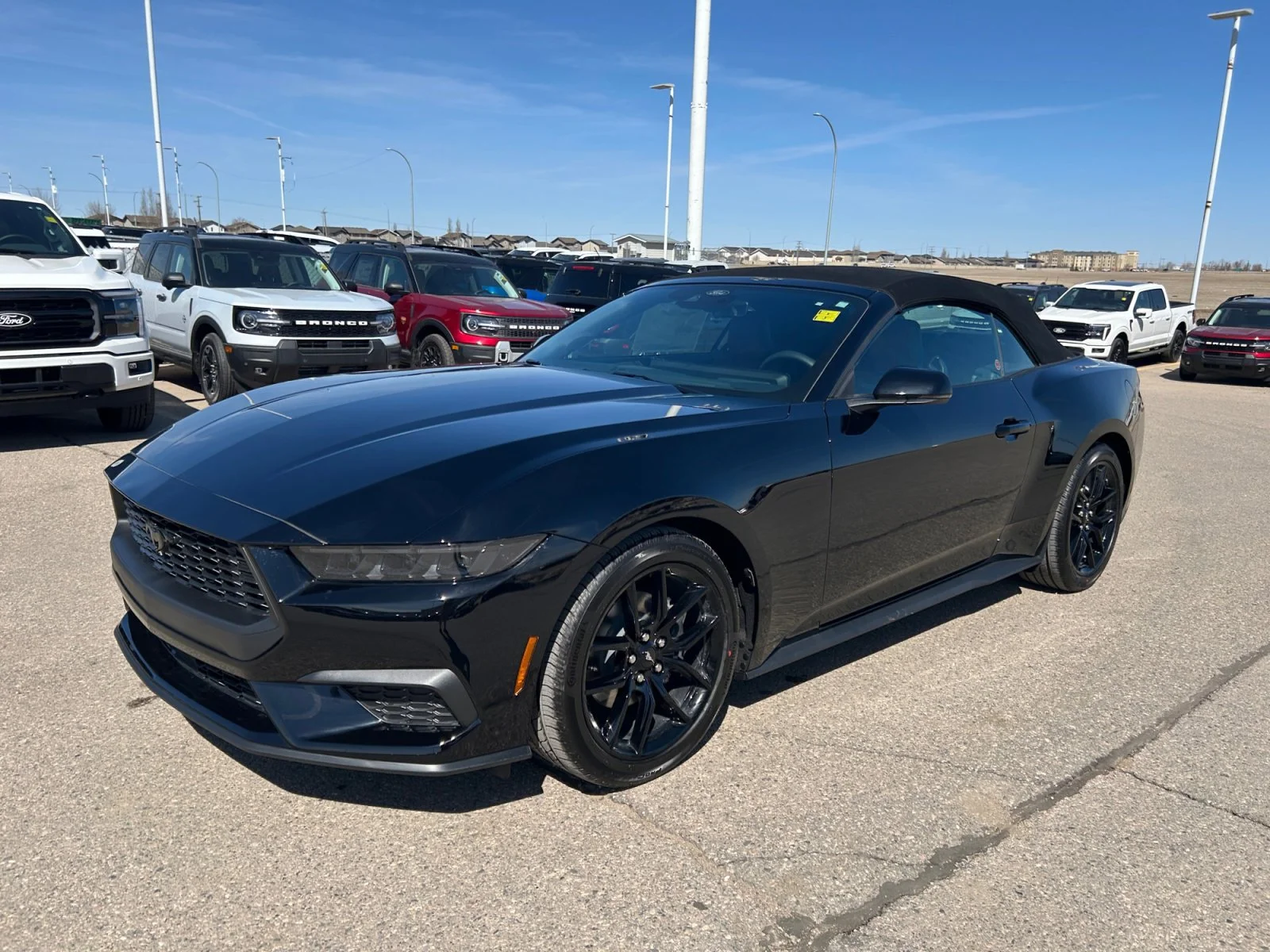 New 2026 Shadow Black Ford EcoBoost Premium image 23