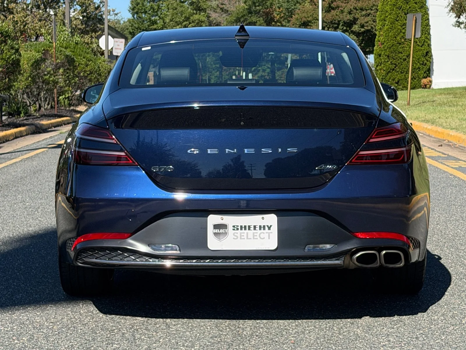Used 2023 Blue Genesis 2.0T image 8