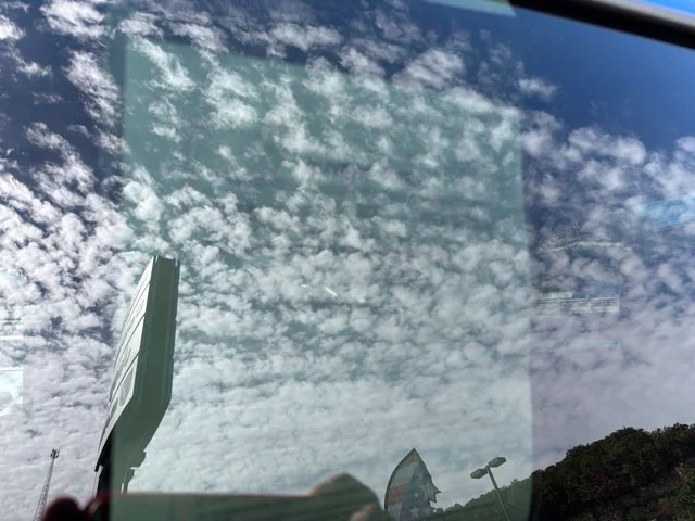 Used 2018 Blue Ford XL image 16