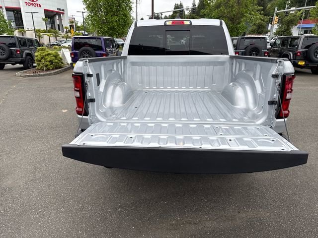 New 2026 Silver Zynith Exterior Paint RAM Rebel image 12