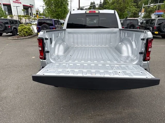 New 2026 Silver Zynith Exterior Paint RAM Rebel image 12