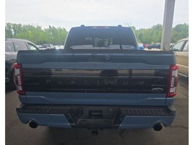 Used 2023 BLUE Ford Platinum image 4