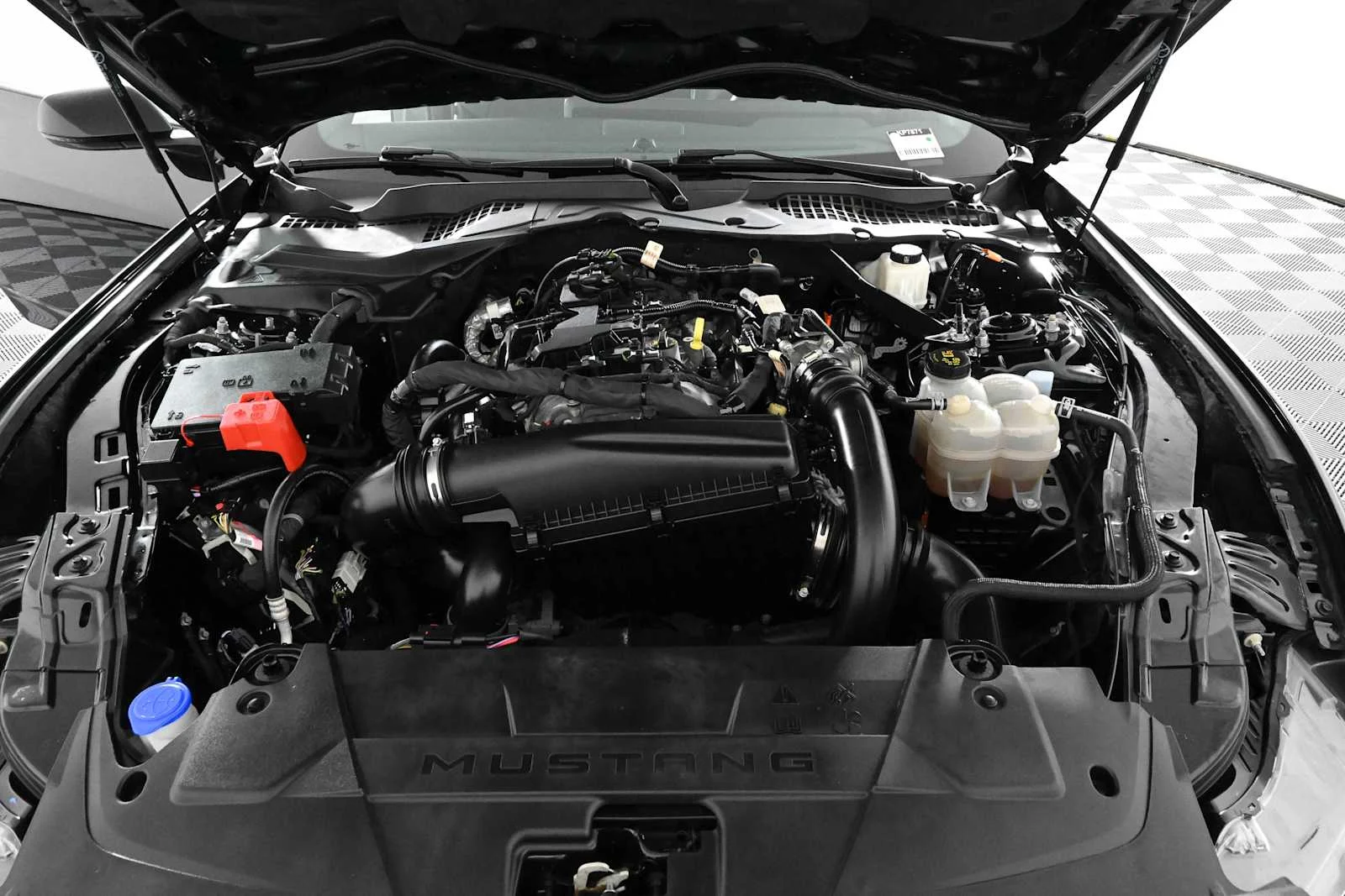 Used 2024 Shadow Black Ford EcoBoost Premium image 32