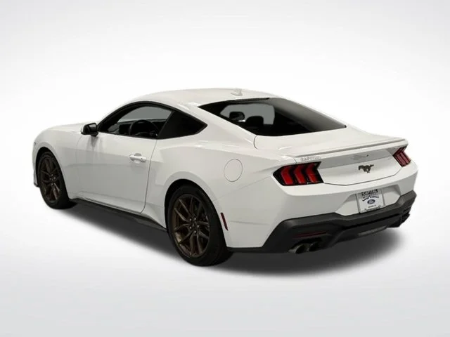 Used 2025 White Ford EcoBoost Premium image 6