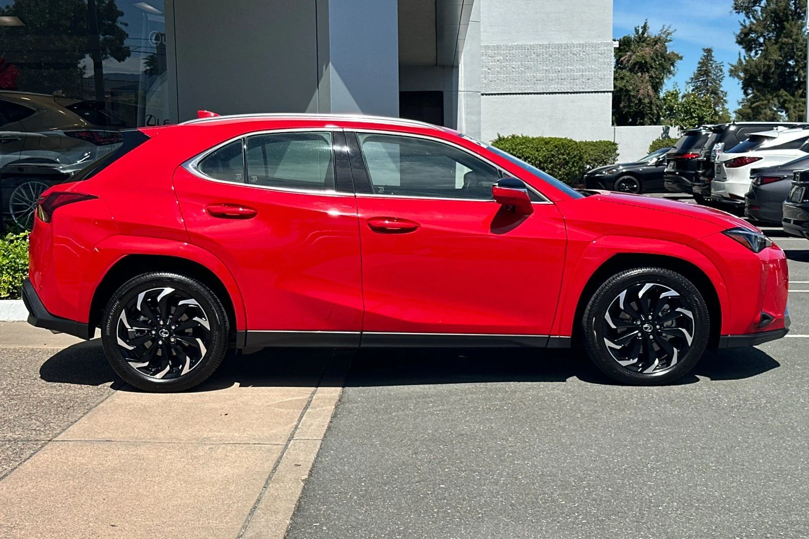 Used 2025 Red Line Lexus 300h Premium image 3
