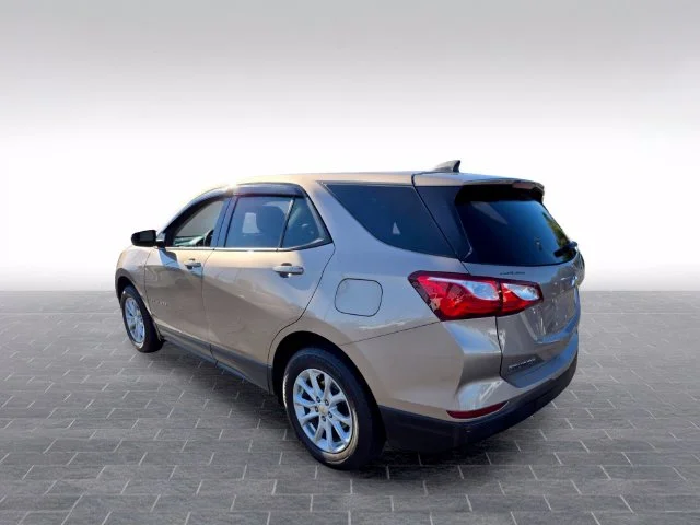 Used 2019 Beige Chevrolet LS image 5