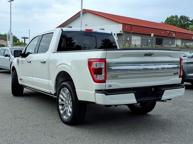 Used 2023 White Ford Limited image 3