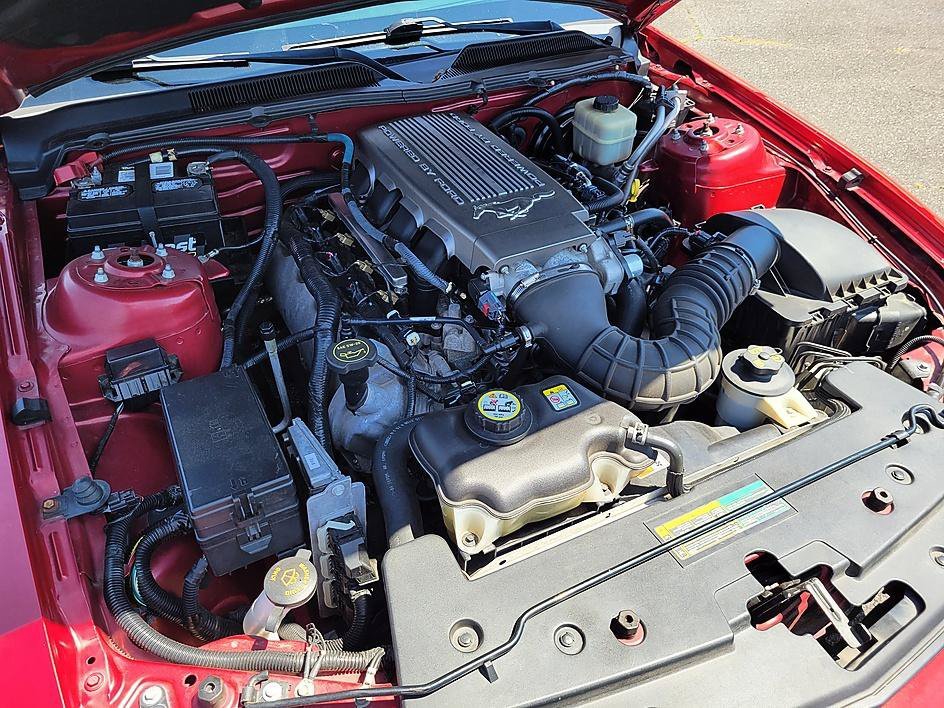 Used 2008 Torch Red Clearcoat Ford GT Premium image 17