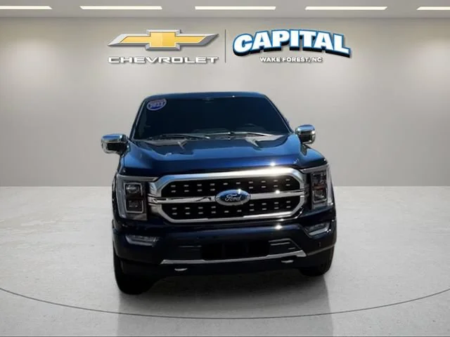 Used 2023 Blue Ford Platinum image 8