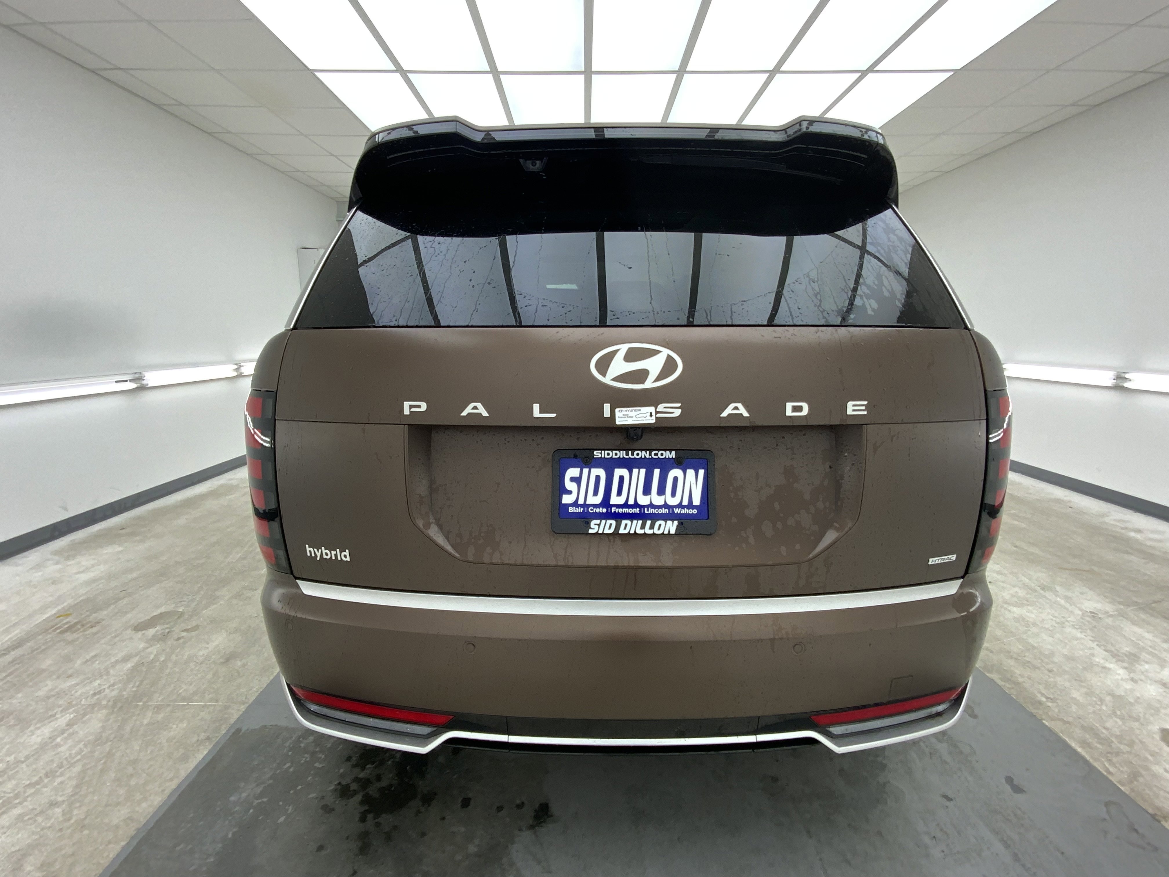 New 2026 Earthy Brass Matte Hyundai Calligraphy image 4