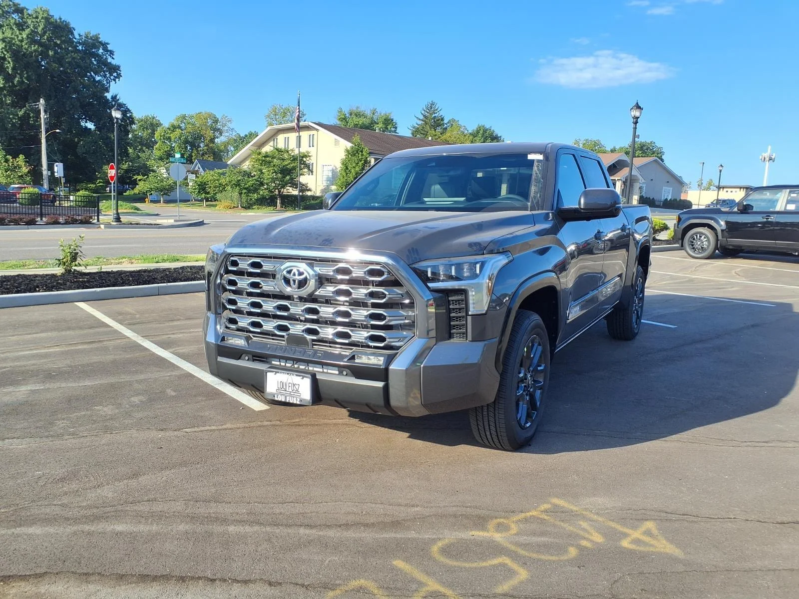 New 2026 Magnetic Gray Metallic Toyota  Platinum image 26