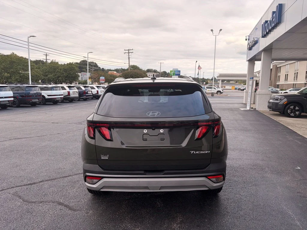 Used 2025 Green Hyundai SEL image 7