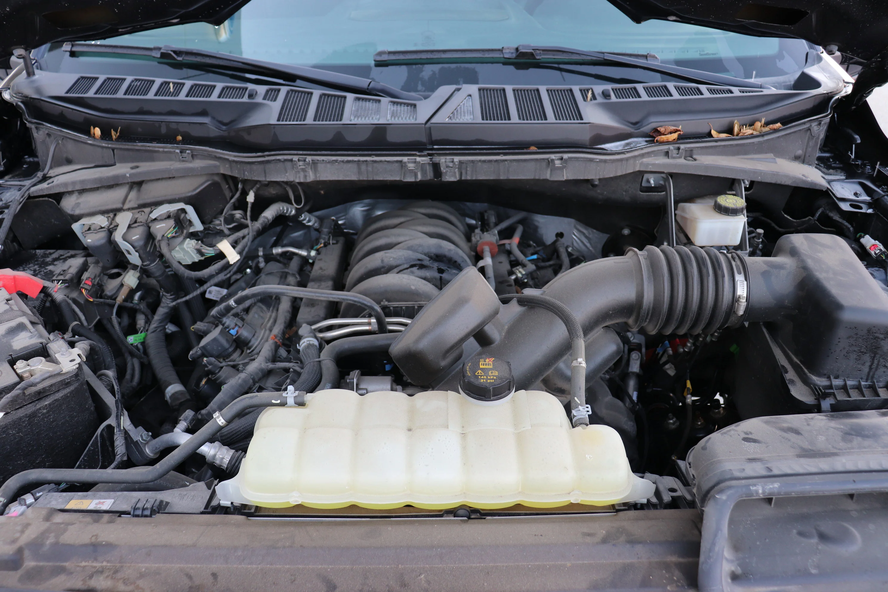 Certified Used 2024 Black Ford XLT image 5