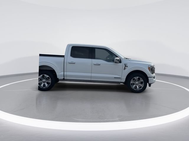 Used 2023 White Ford Platinum image 8