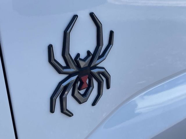 New 2026 Oxford White Ford Black Widow image 21