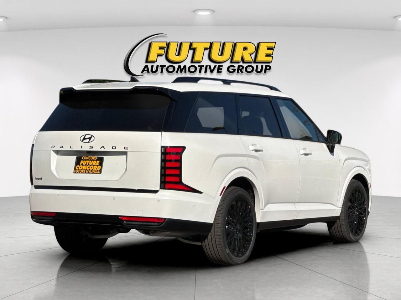 New 2027 White Hyundai Calligraphy Black Ink image 3