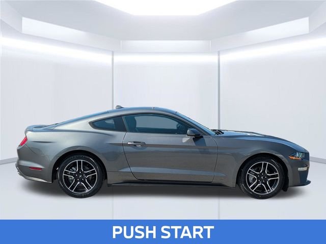 Used 2022 Gray Ford EcoBoost Premium image 8