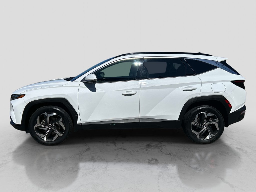 Used 2023 White Hyundai Limited image 2