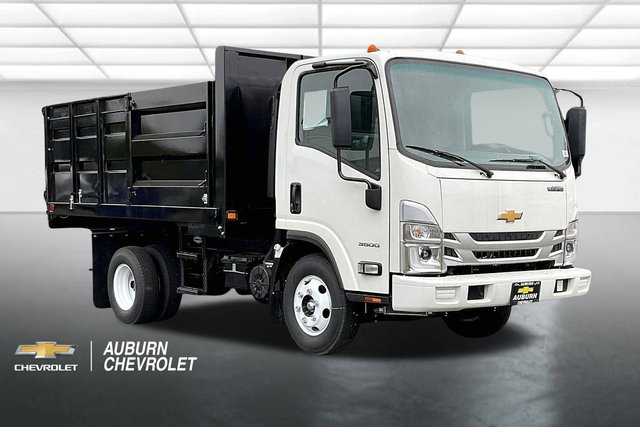 2025 Chevrolet Low Cab Forward 3500 HG MEDIUM ASH GRAY