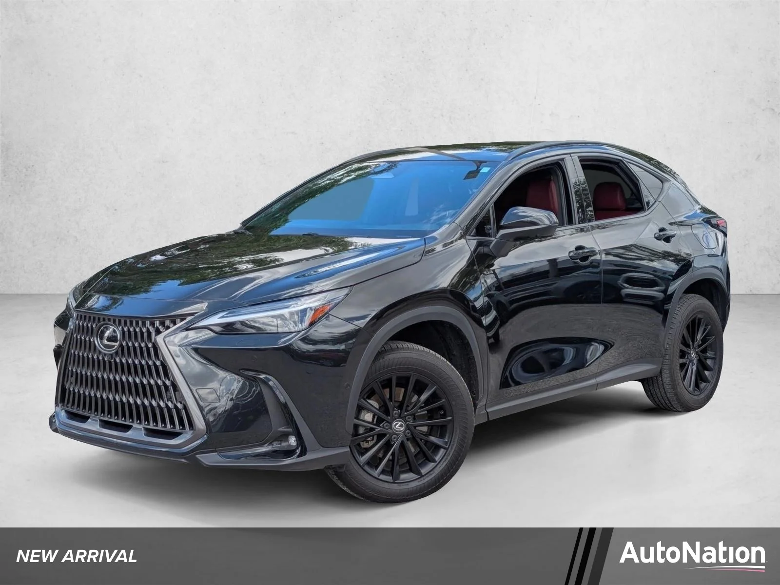 2024 Lexus NX 350h 350h Luxury AWD's photo