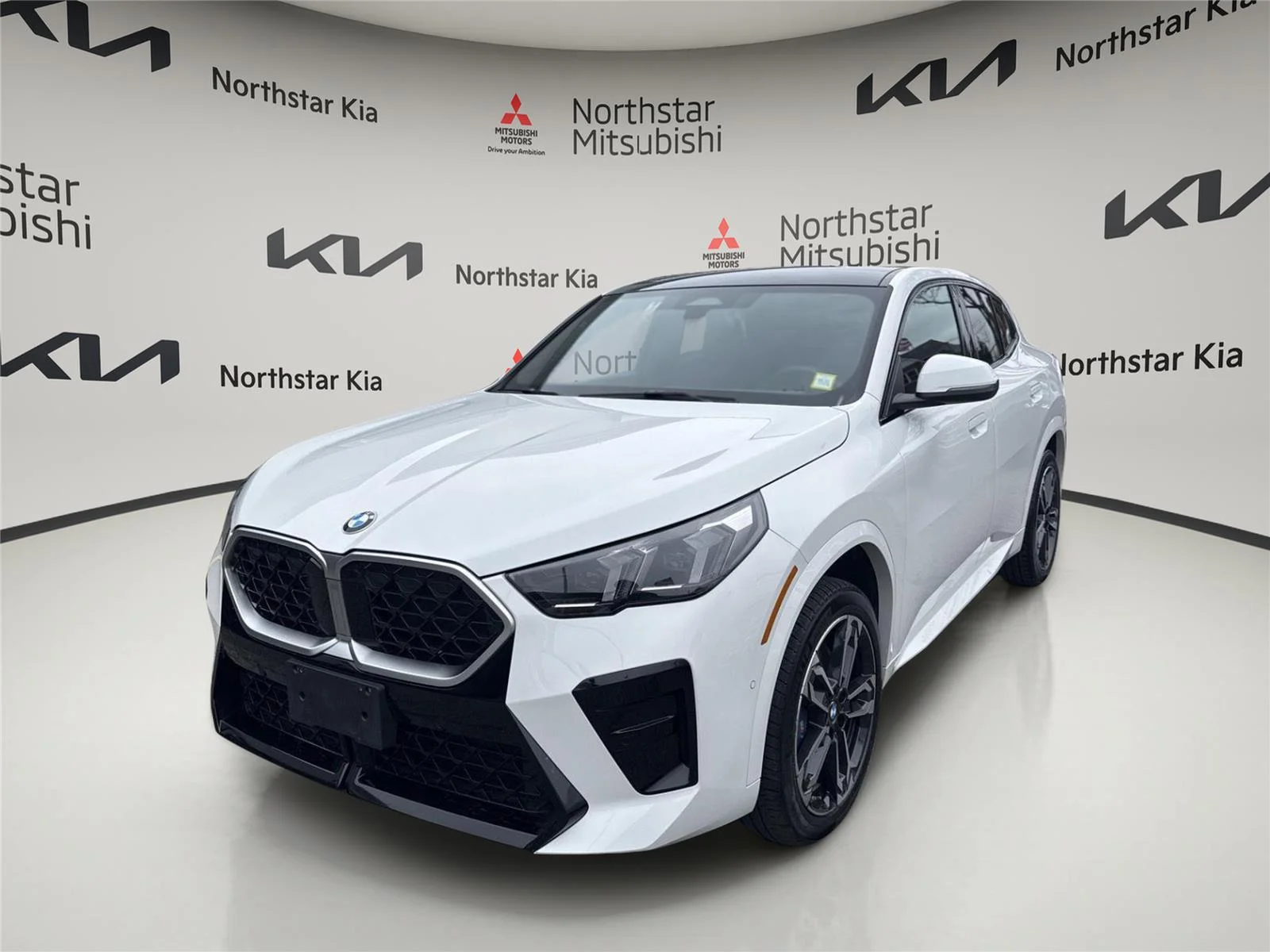 2025 BMW X2 xDrive28i's photo