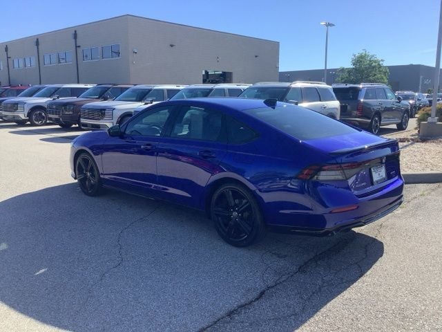 Used 2024 Blue Honda Sport-L image 6