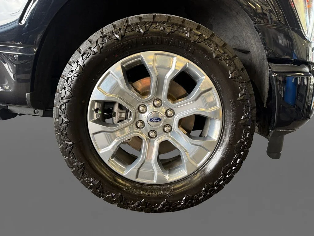 Used 2021 Black Ford Platinum image 9