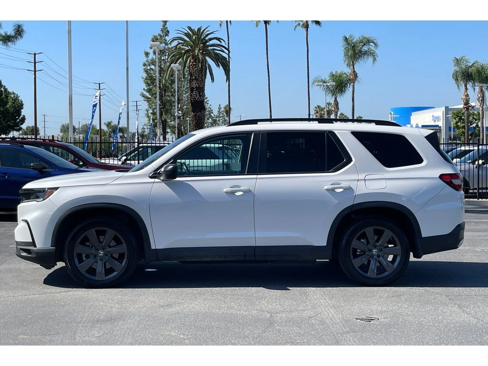 Used 2024 Platinum White Pearl Honda Sport image 2