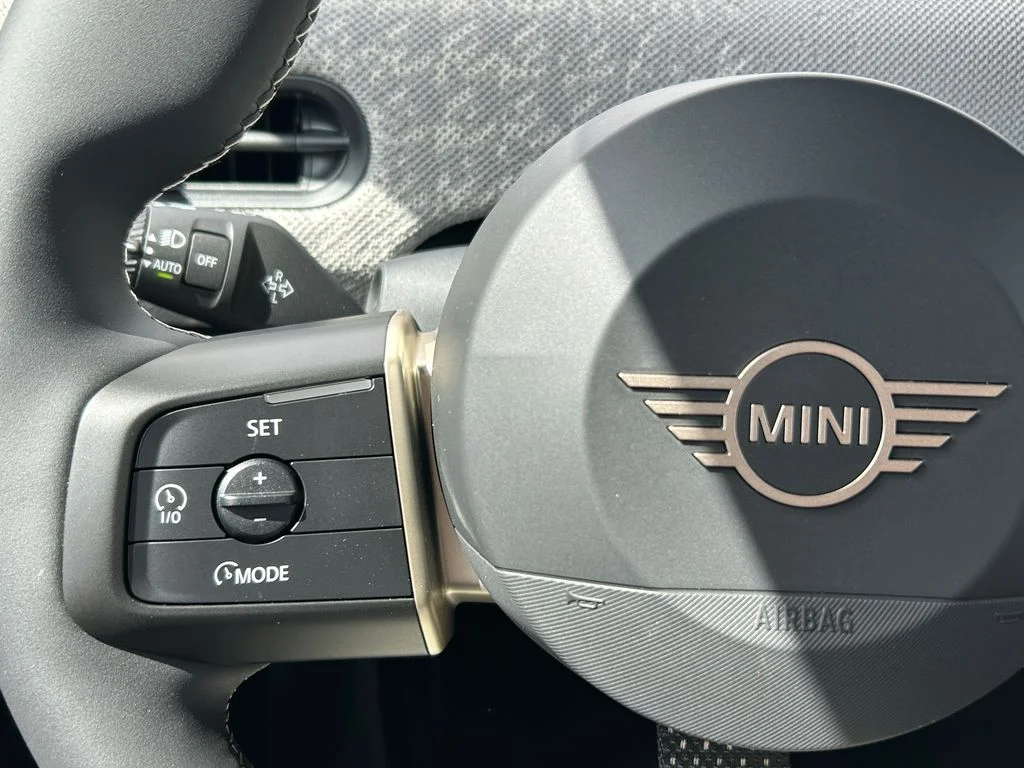 New 2026 Green MINI Signature Plus image 18