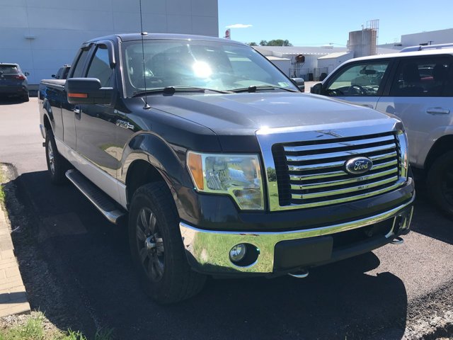 2010 Ford F-150's photo