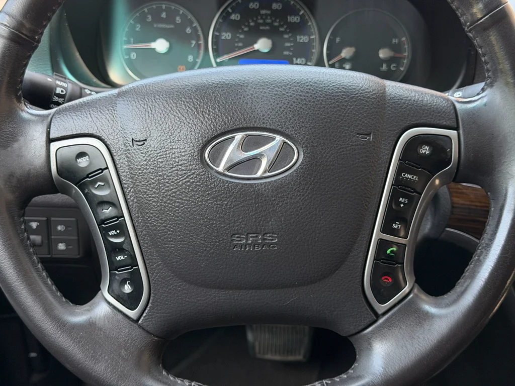 Used 2010 Radiant Silver Hyundai Limited image 28