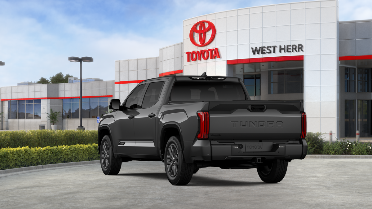New 2026 Magnetic Gray Metallic Toyota Platinum image 18
