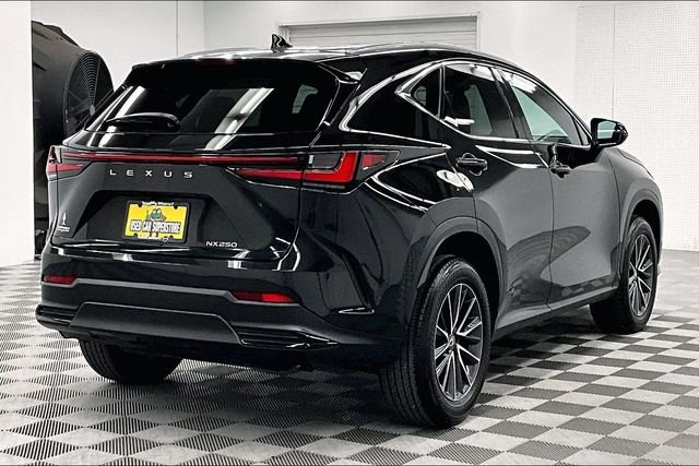 2024 Lexus NX 250 - Photo 13