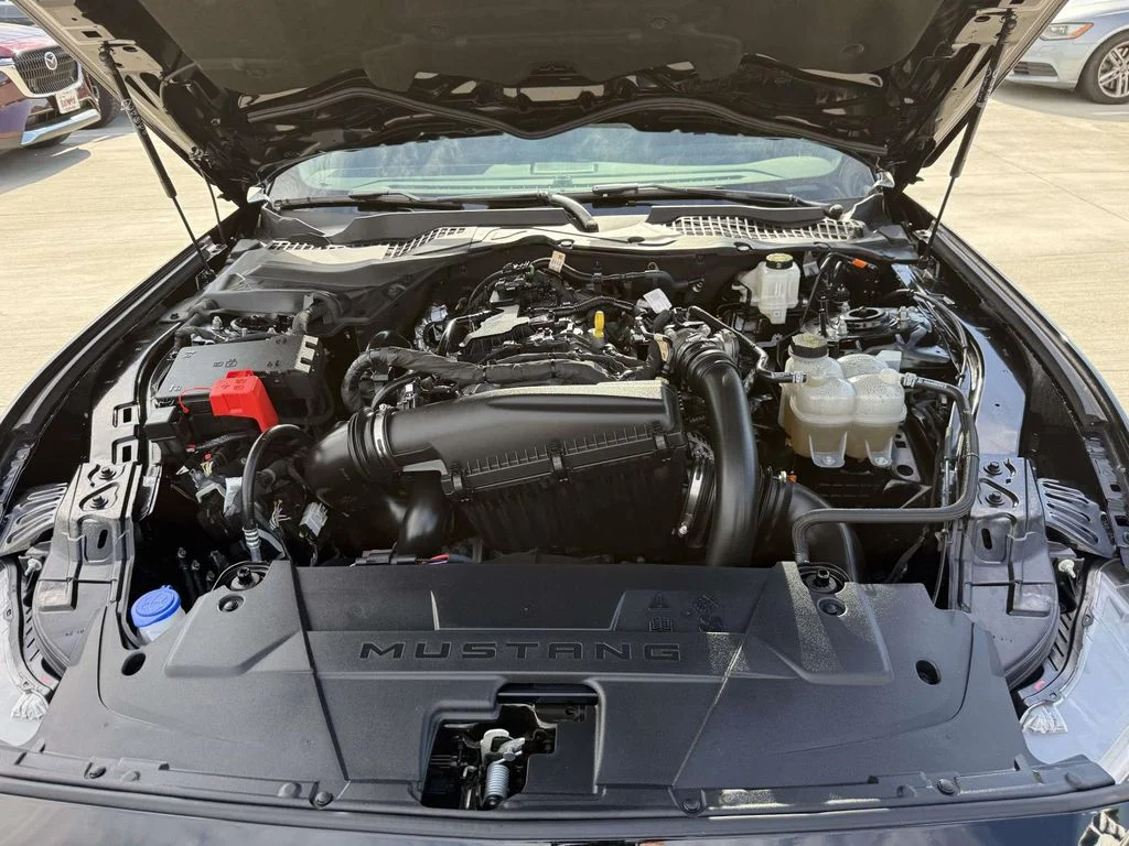 Used 2025 Black Ford EcoBoost image 12