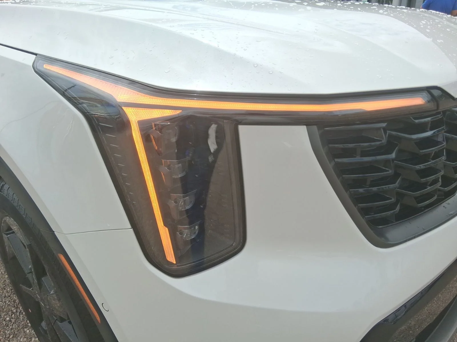 New 2026 White Kia X-Line SX Prestige image 7