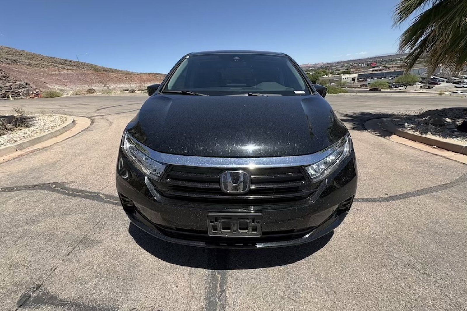 Used 2022 Black Honda Elite image 9