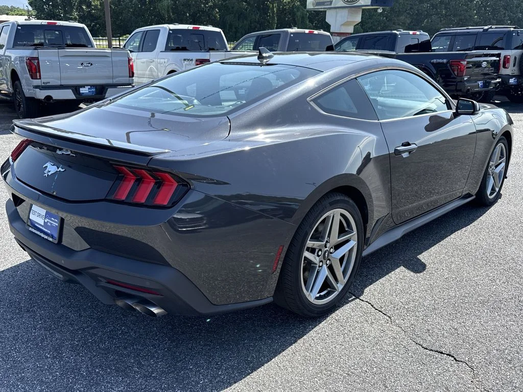 Used 2024 Gray Ford EcoBoost Premium image 7
