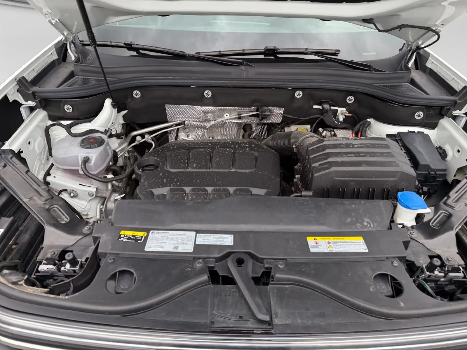 Photo 24