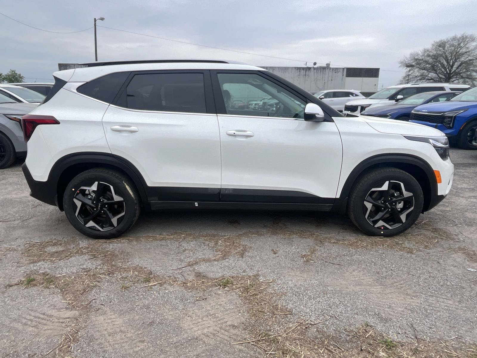 New 2026 Snow White Pearl Kia EX image 8