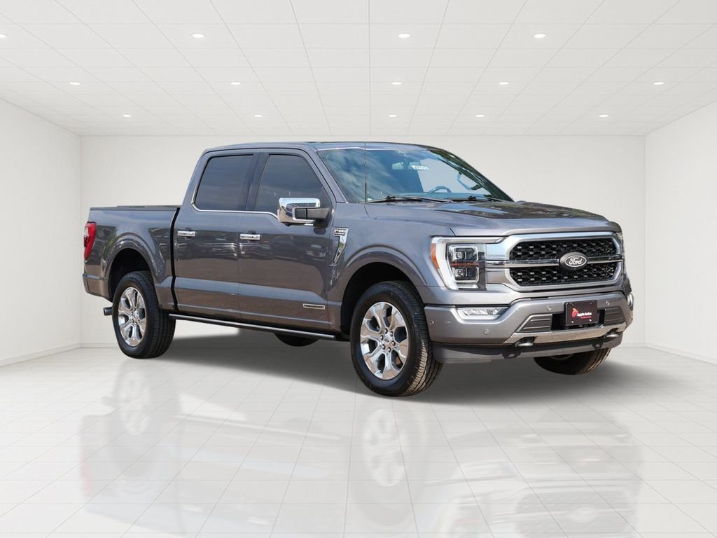 Used 2021 Gray Ford Platinum image 1