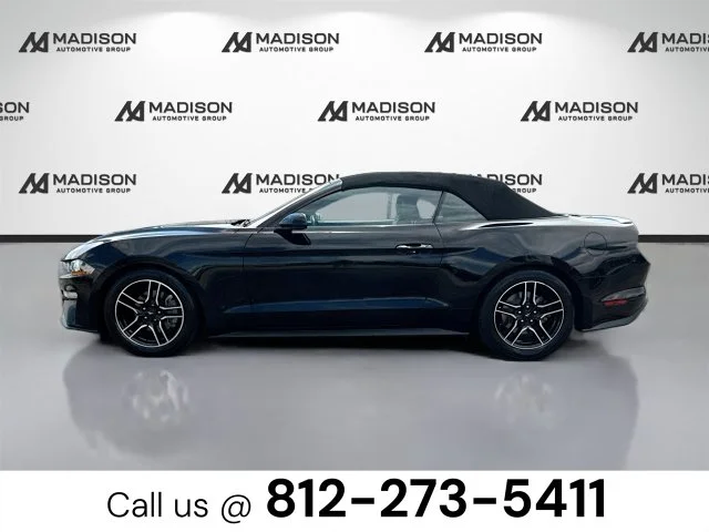 Used 2021 Black Ford EcoBoost Premium image 8