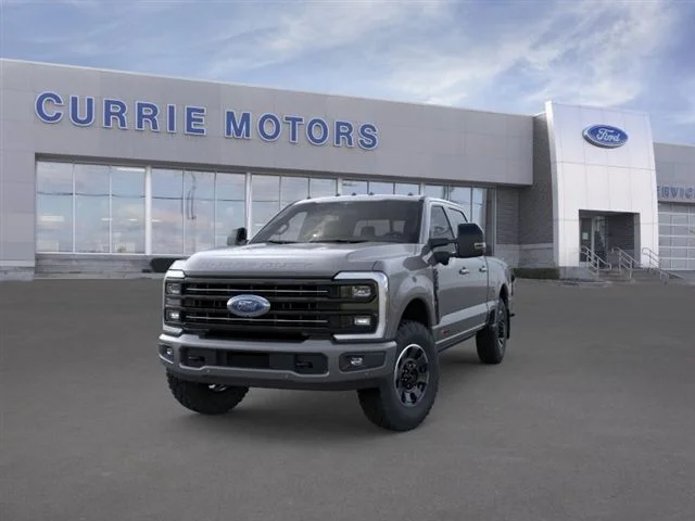 New 2026 Gray Ford Platinum image 2