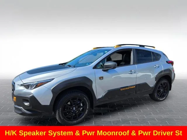 Used 2025 Silver Subaru Wilderness image 4