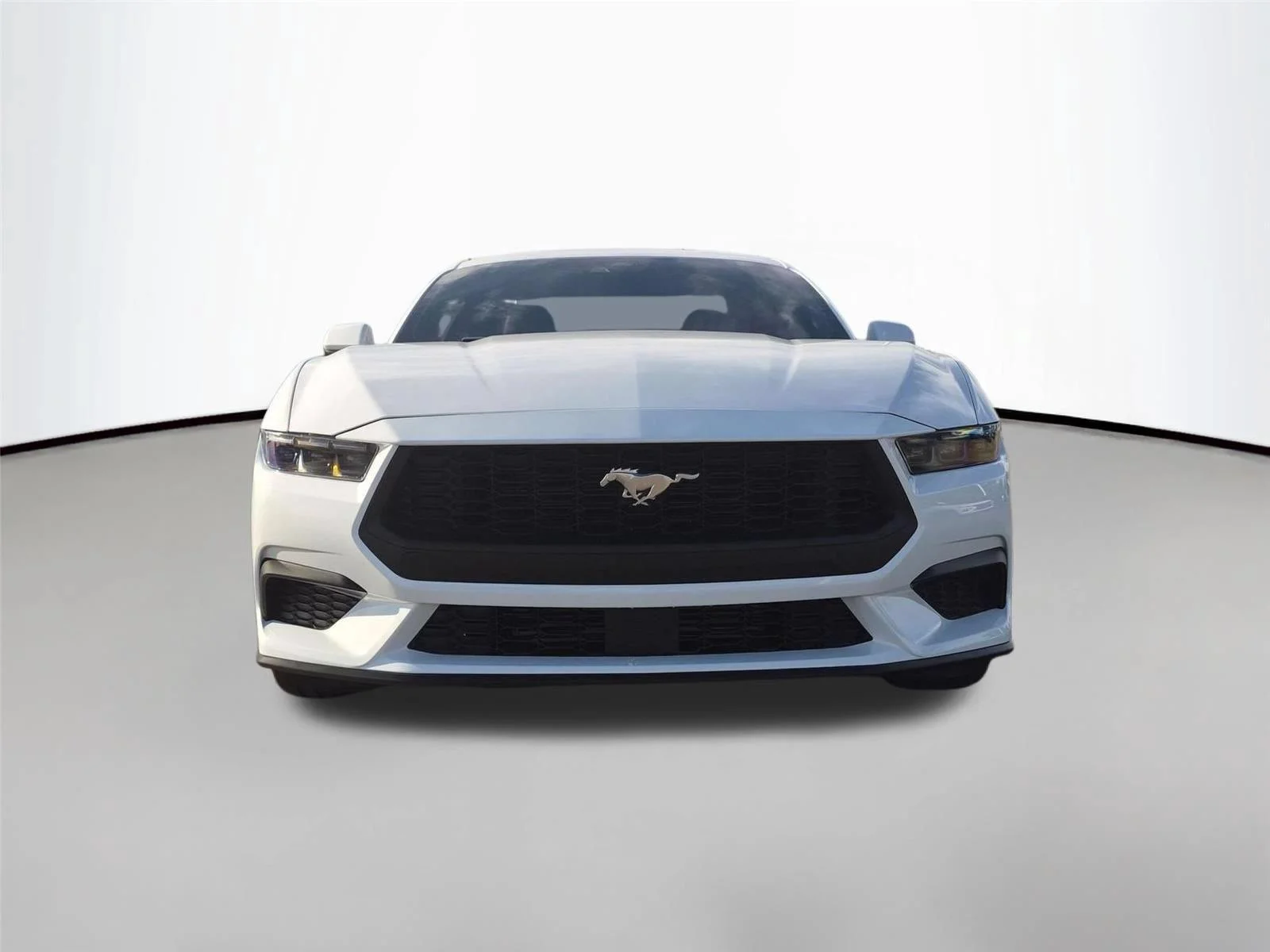 Used 2025 Oxford White Ford EcoBoost image 8