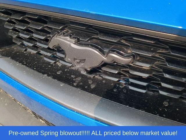 Used 2021 Blue Ford Mach 1 image 9