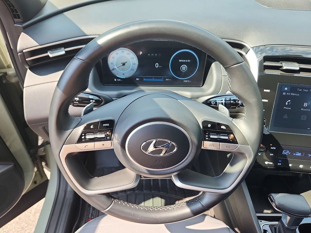 Used 2022 Sage Hyundai SEL Premium image 19